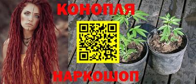 спайс Краснознаменск