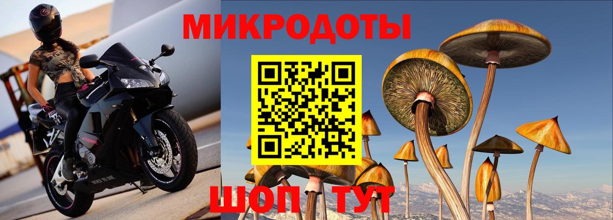 Галлюциногенные грибы Psilocybe  Вход с VPN  Зерноград 